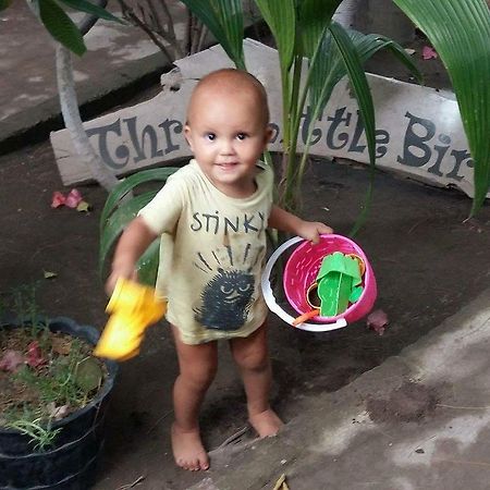 Three Little Birds Homestay Gili Trawangan Exterior foto