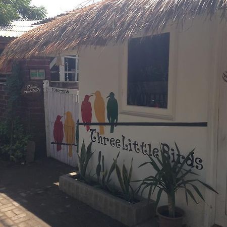 Three Little Birds Homestay Gili Trawangan Exterior foto