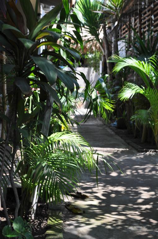 Three Little Birds Homestay Gili Trawangan Exterior foto